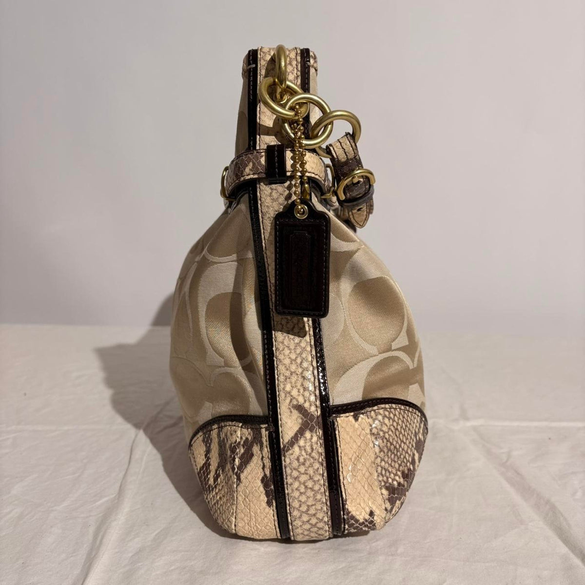 Coach Colette Signature Hobo - Model 16408, Y2K Python Trim