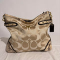 Coach Colette Signature Hobo - Model 16408, Y2K Python Trim