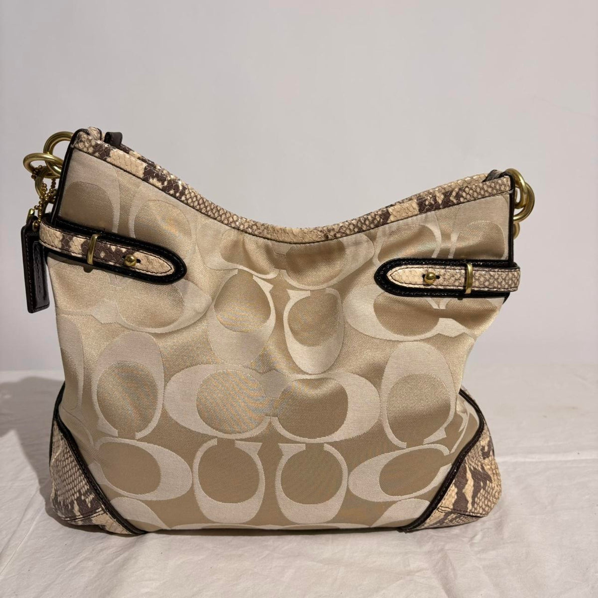 Coach Colette Signature Hobo - Model 16408, Y2K Python Trim