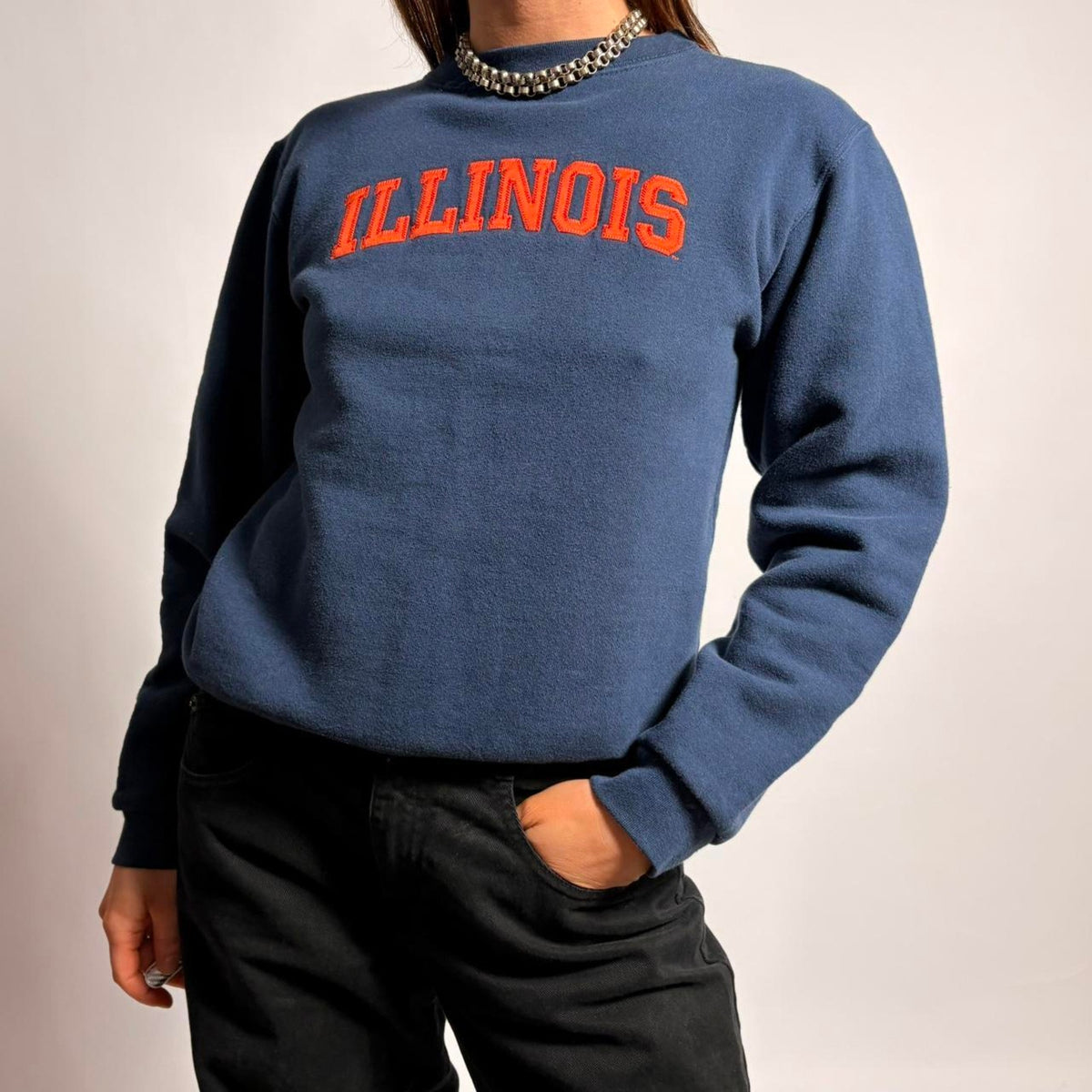 Vintage Made in USA Illinois Crewneck - Size Small