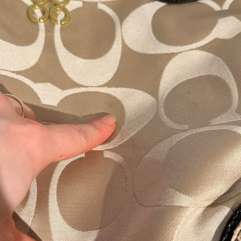 Coach Colette Signature Hobo - Model 16408, Y2K Python Trim