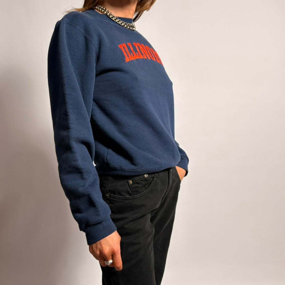Vintage Made in USA Illinois Crewneck - Size Small