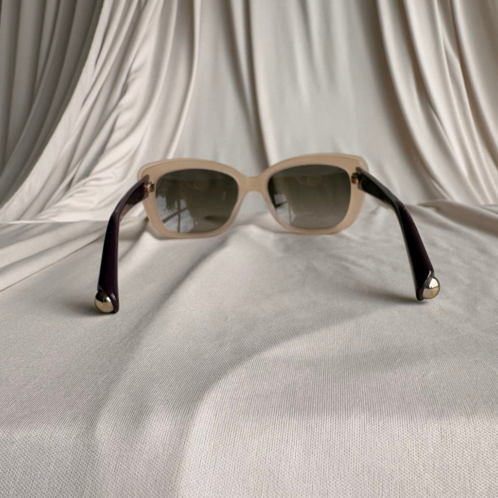 Christian Dior Promesse 3 Sunglasses - Nude, Purple Arms